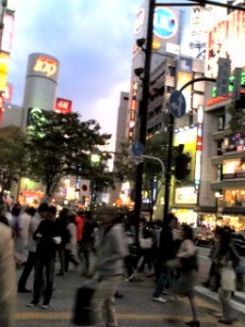 shibutani