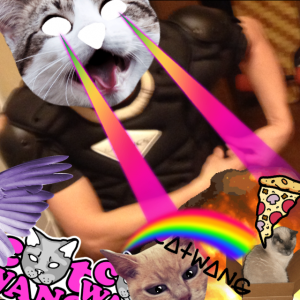 catwang2