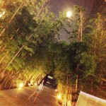 まんげつのよる。